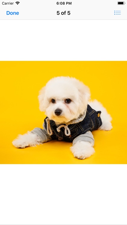 Pets In Costume screenshot-4