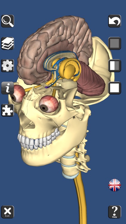 3D Anatomy Learning screenshot-5