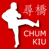 Wing Chun Chum Kiu Form - Next Token Solutions