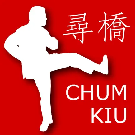 Wing Chun Chum Kiu Form Cheats