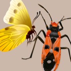 Top 42 Reference Apps Like Key to Insect Orders - Revised - Best Alternatives