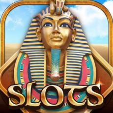 Activities of Slots|