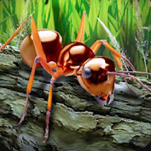 蚂蚁模拟器logo