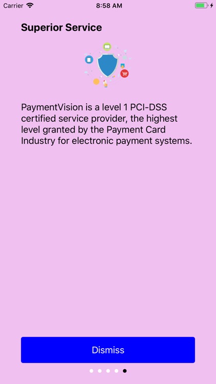 PaymentVision screenshot-4