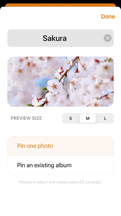 Pin Photo - Photo Widget screenshot-4