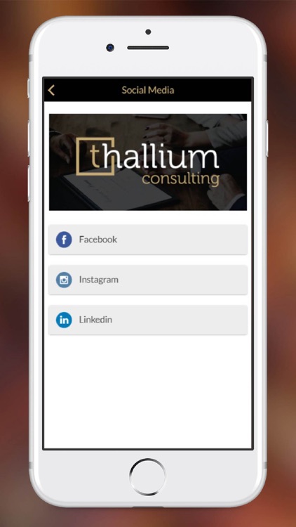 Thallium Consulting screenshot-3