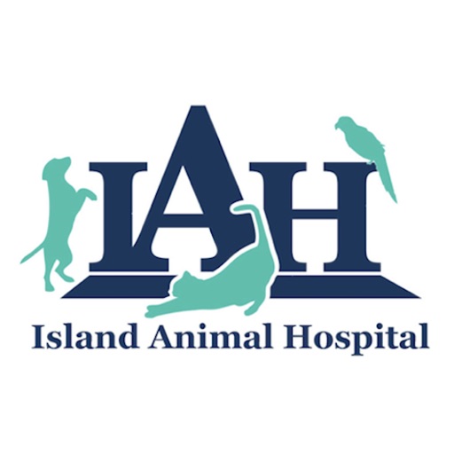 Island Animal Hospital