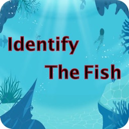 Identify The Fish