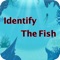 Identify the fish is app for the identification of fish