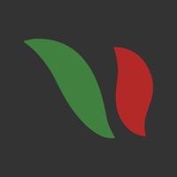 Alita Driver app