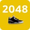 2048 Air Jordan Edition