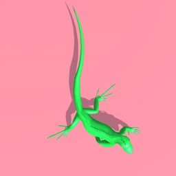 Lizard.io