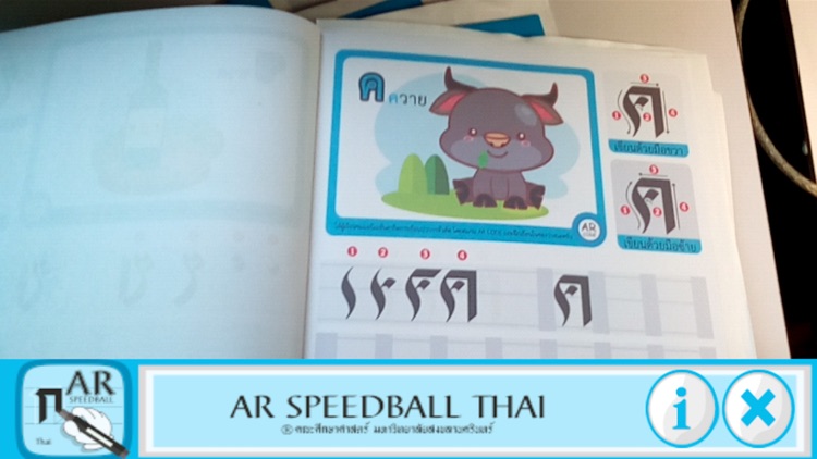 AR Speedball Thai RH