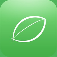 Guide for Animal Crossing NL