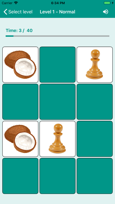 Brain game. Picture Match screenshot 2