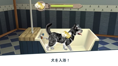 Dog Hotel 犬と遊ぶ Iphoneアプリ Applion
