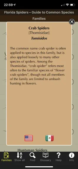 Game screenshot Florida Spiders apk