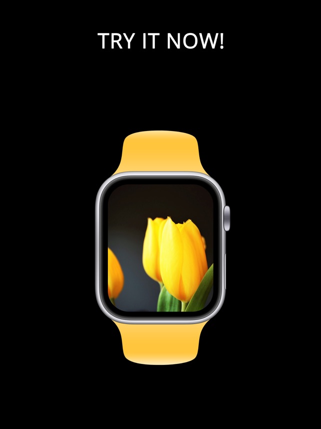 Cute Apple Watch Backgrounds Flowers - Ryoko Wallpaper