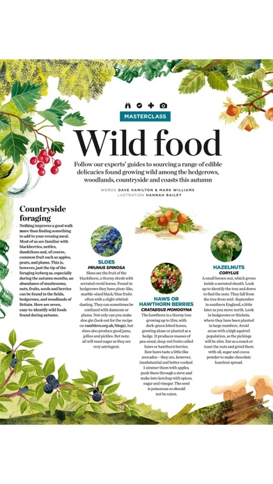 Walk Magazine screenshot1