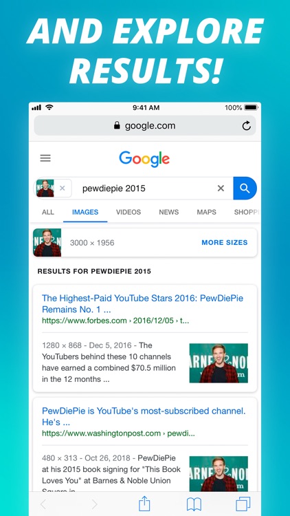 Reverse Image Search Extension screenshot-9