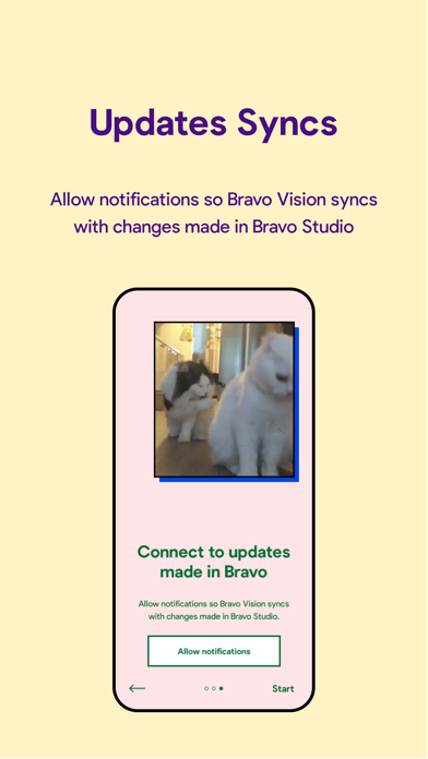 Bravo Vision screenshot 3