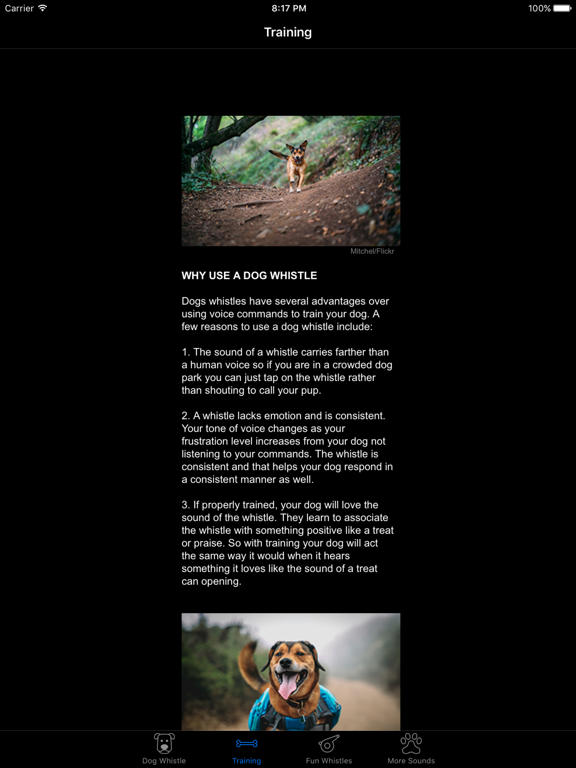 Dog Whistle & Training App Price Drops