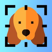 Dog Breed Identifier AI