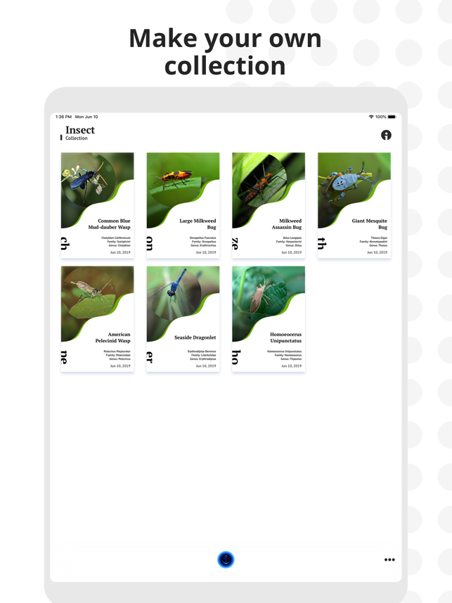‎Insect Identification Screenshot