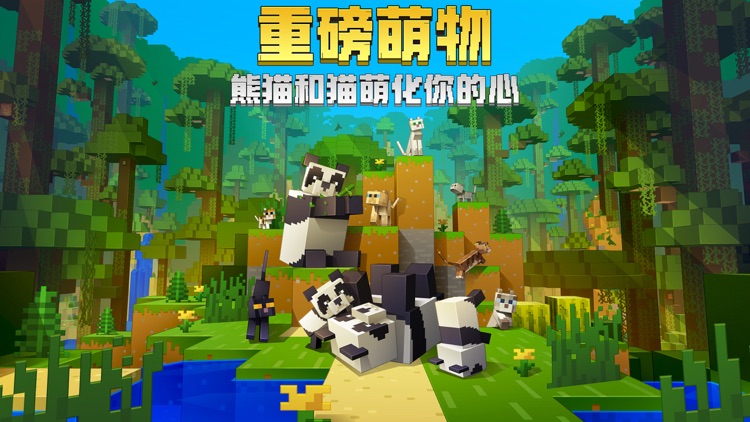 我的世界