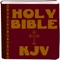 Icon King James Holy Bible