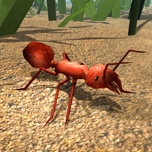 Fire Ant Simulator iOS App