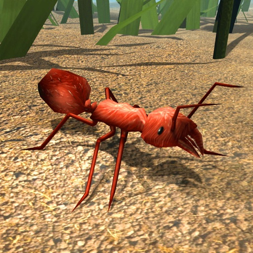 Fire Ant Simulator Icon