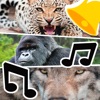 Icon Animal Ringtones & Sounds