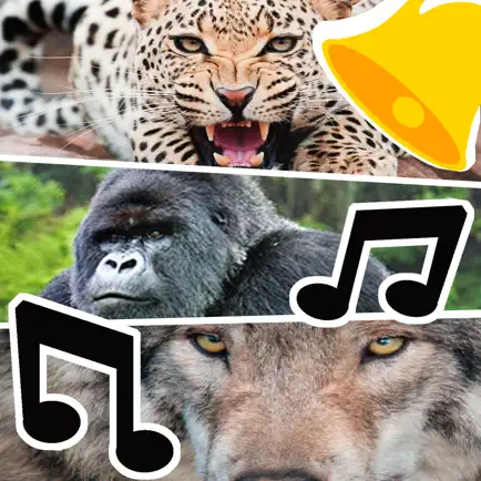 Рингтоны животных - звуки Читы