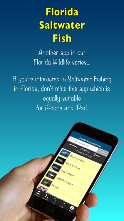 Florida Saltwater Fish