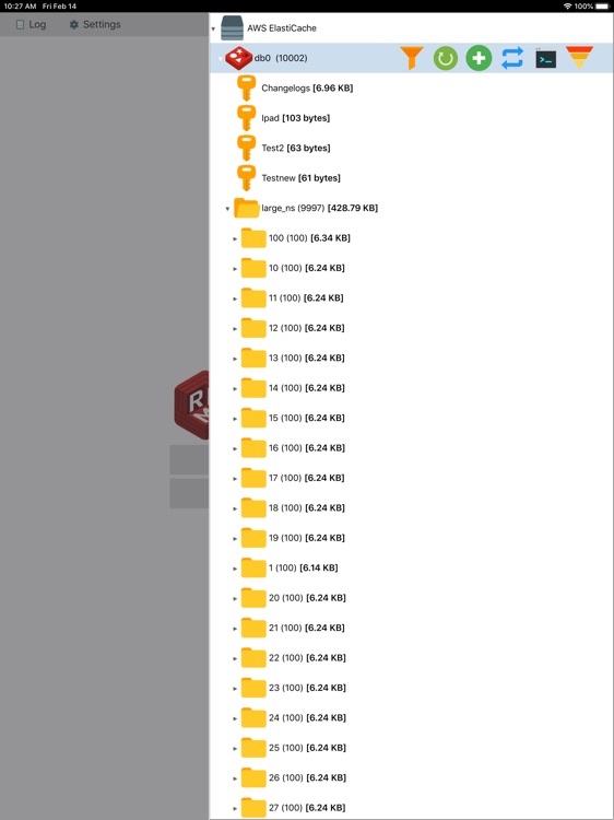 Redis Desktop Manager for IPad screenshot-3