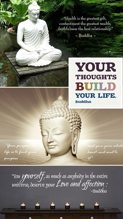 Buddha Quotes & Wallpapers