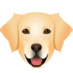 My Golden Retriever