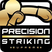 Precision Boxing Coach Pro