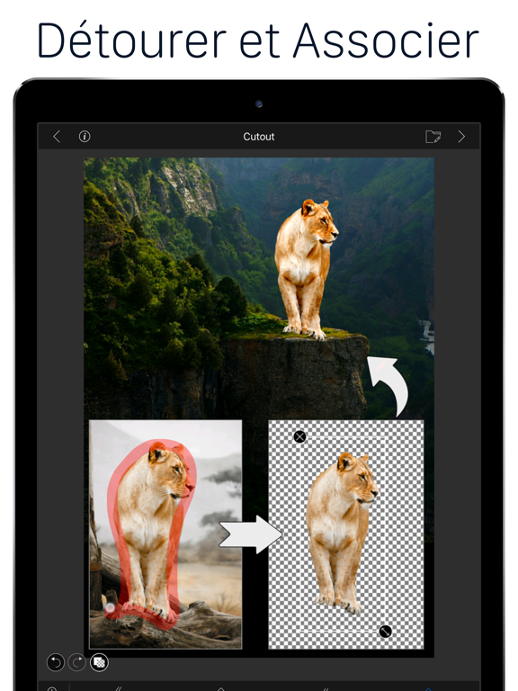 LightX : Background Remover LightX : Background Remover