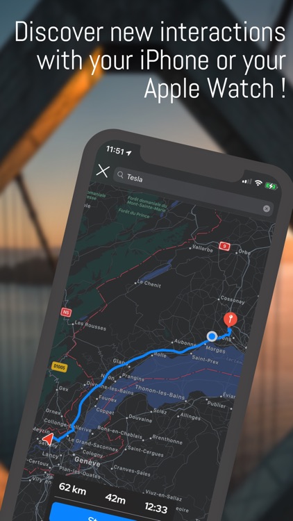 Companion for Tesla