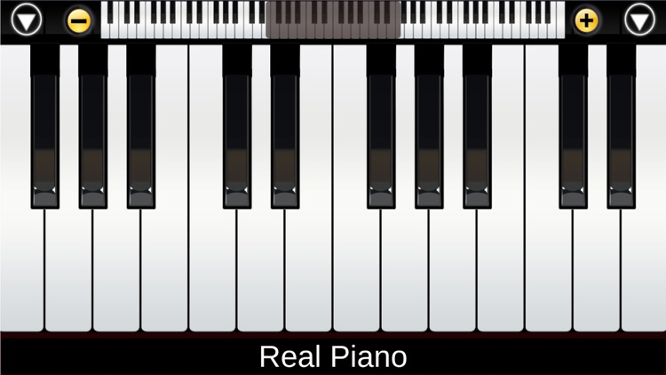 i Real Piano screenshot-4