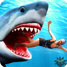 Activities of Blue Whale Shark Simulator 3D