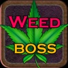 Icon Weed Boss - Ganja Tycoon Idle