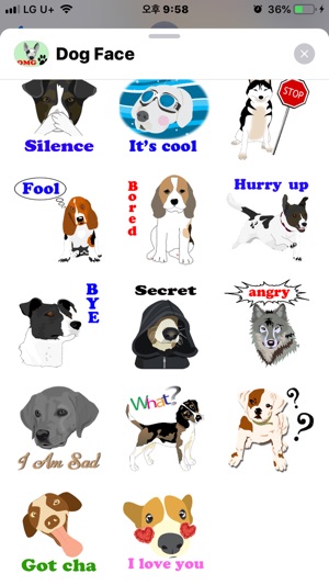 Funny Dog Messages(圖3)-速報App