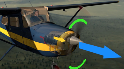 ProPilots Flugzeuge screenshot 4