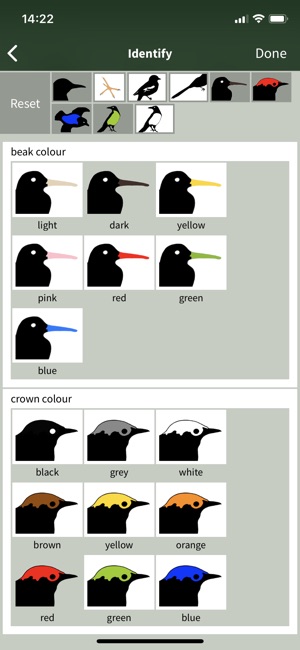 All Birds Ecuador field guide(圖4)-速報App