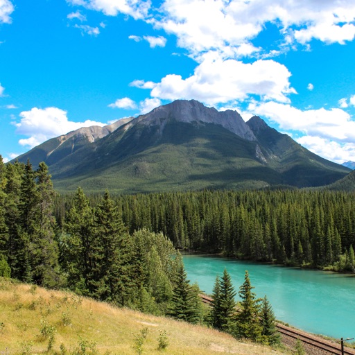 Healing nature sounds Download