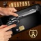 Icon eWeapons™ Revolver Guns Sim