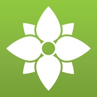  ProFlowers: Delivered Fresh Alternatives